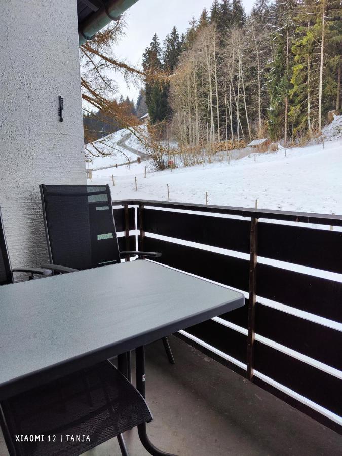 Weideglueck-Zentral-Dampfdusche Apartman Oberstaufen Kültér fotó